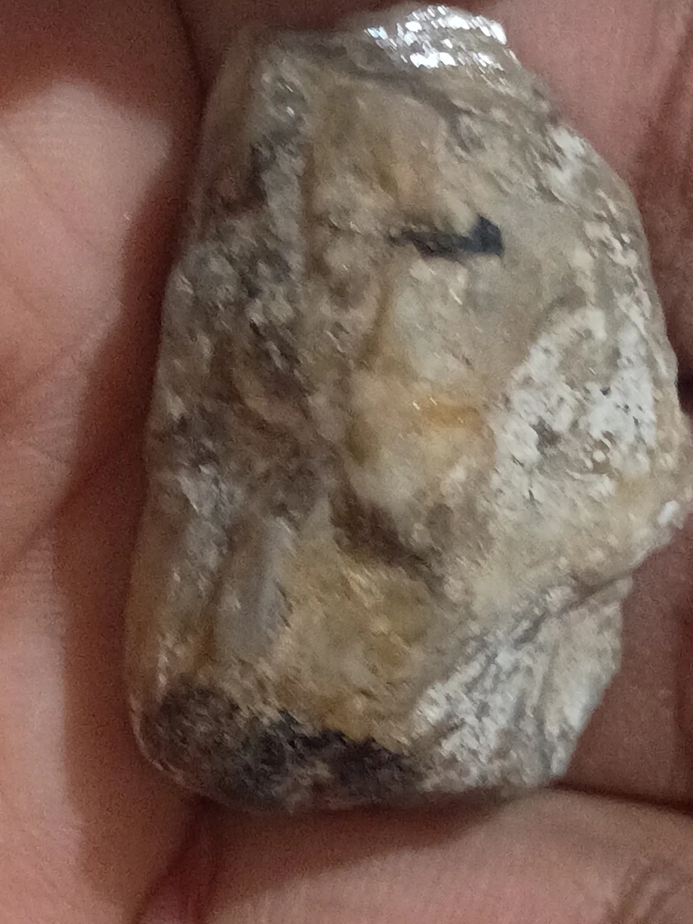 Natural White and Tan Quartz Decorative Rock for Reptile Habitats
